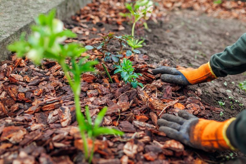 Black Mulch Installation in Honolulu, HI