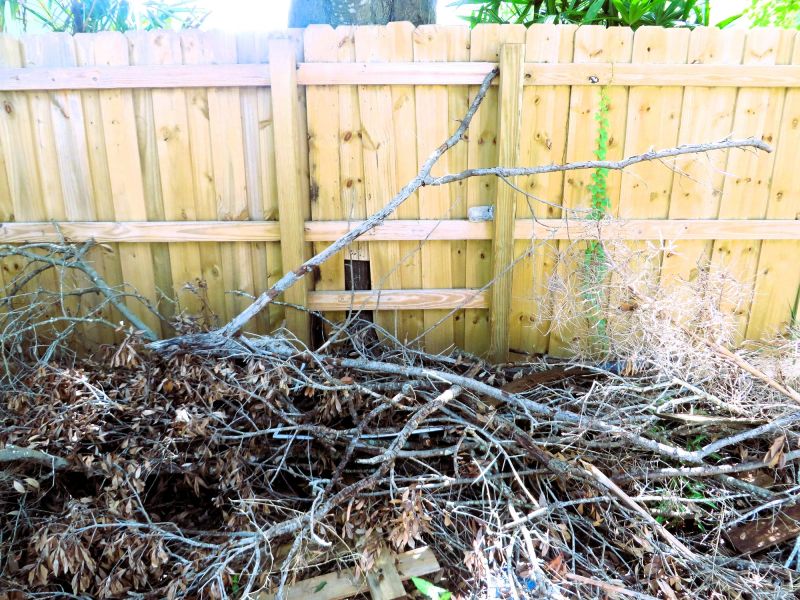 Spring Brush Removal