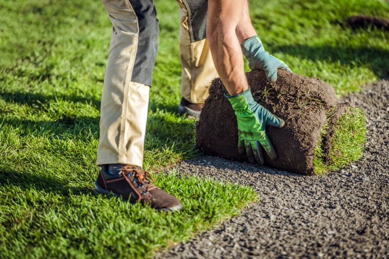 Dryscape Landscaping in Ventura County, CA