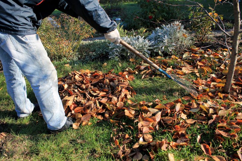 Fall Lawn Cleanup Service in Honolulu, HI
