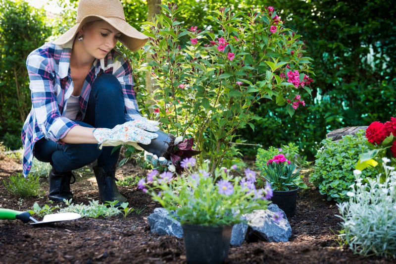 Garden Care Service in Honolulu, HI