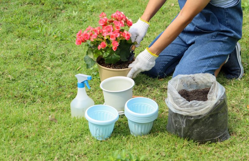 Garden Care Service in Honolulu, HI