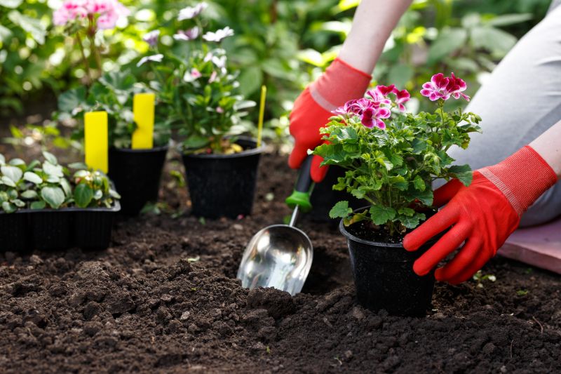 Garden Planting Service in Ventura County, CA