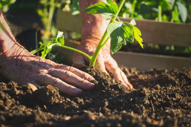 Greenery Planting in Ventura County, CA