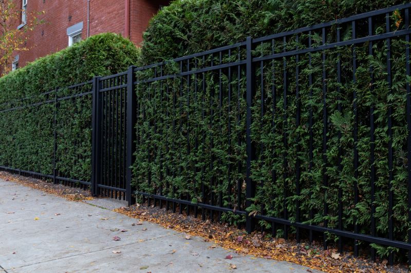 Hedge Landscaping in Honolulu, HI