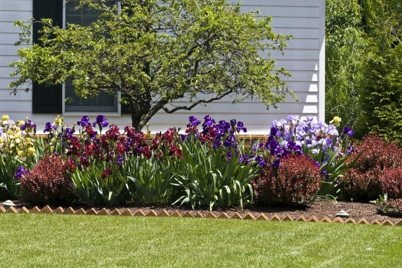 Hedge Replacement in Ventura County, CA