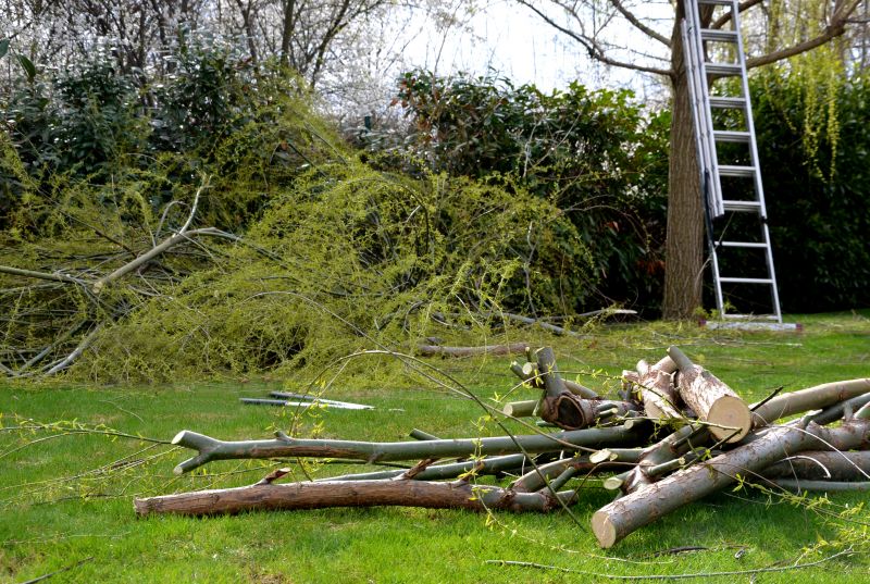 Lawn Debris Cleanup in Honolulu, HI