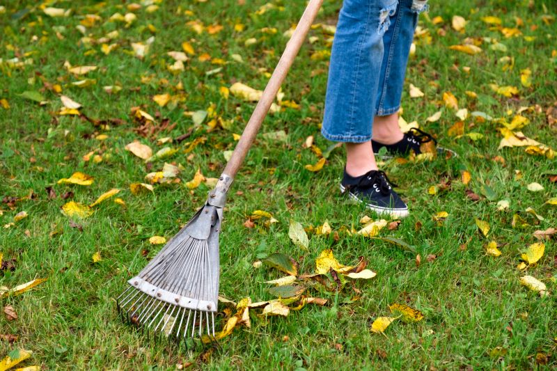 Leaf Raking Service in Honolulu, HI