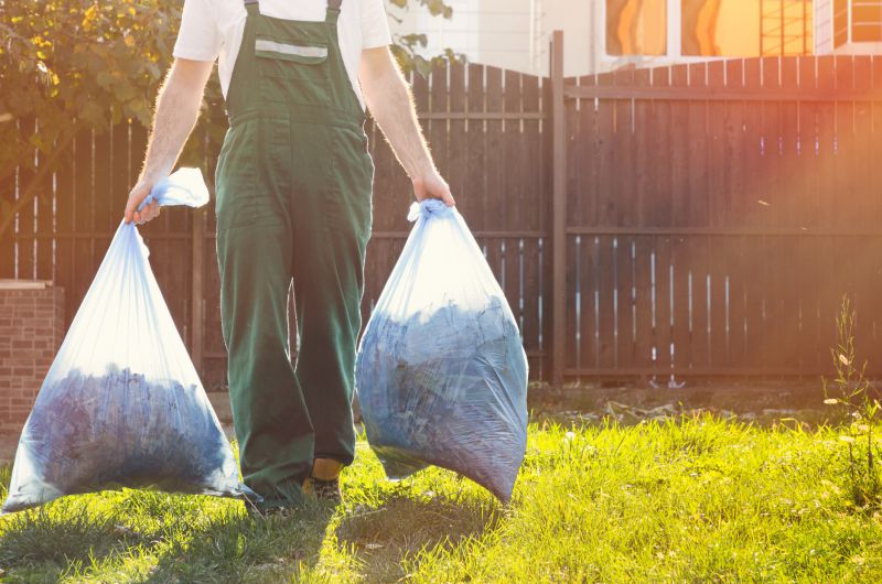 Leaf Removal in Ventura County, CA