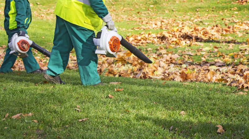 Leaves Vacuuming in Ventura County, CA