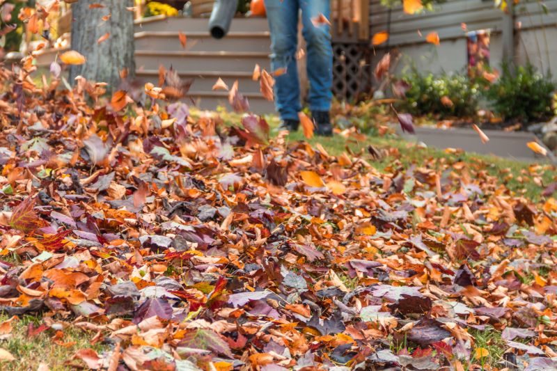 Leaves Vacuuming in Ventura County, CA