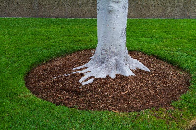 Organic Mulch Installation in Honolulu, HI