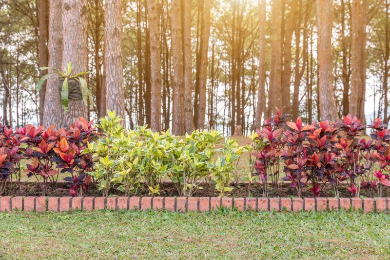 Red Mulch Installation in Honolulu, HI