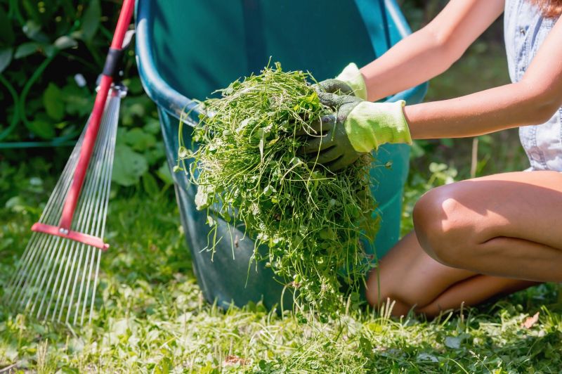 Seasonal Lawn Maintenance in Honolulu, HI