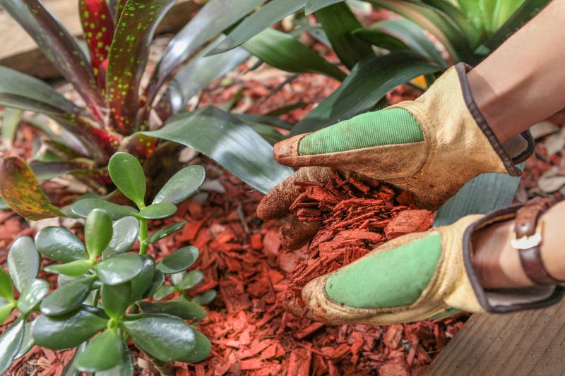 Shredded Mulch Service in Ventura County, CA