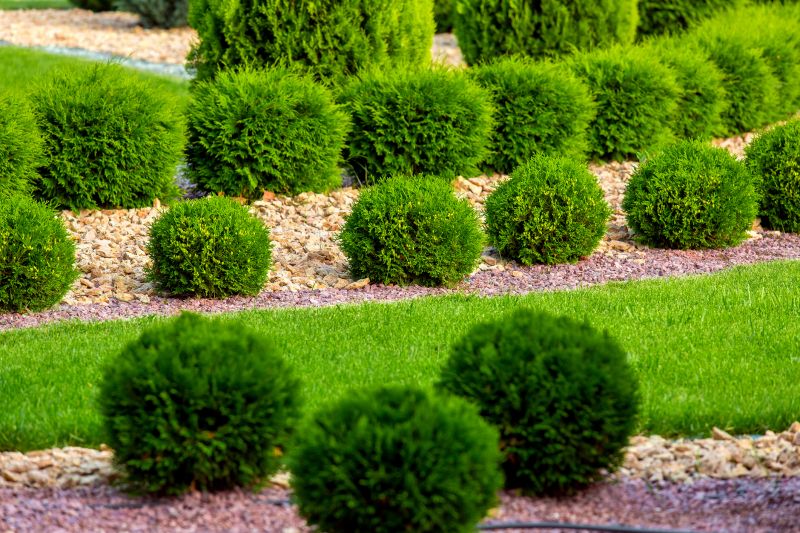 Shrub Landscaping in Ventura County, CA