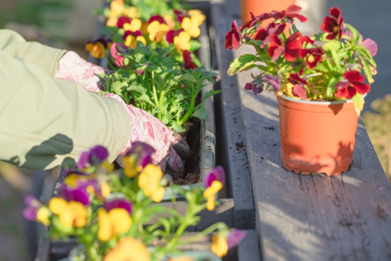 Spring Garden Maintenance in Ventura County, CA