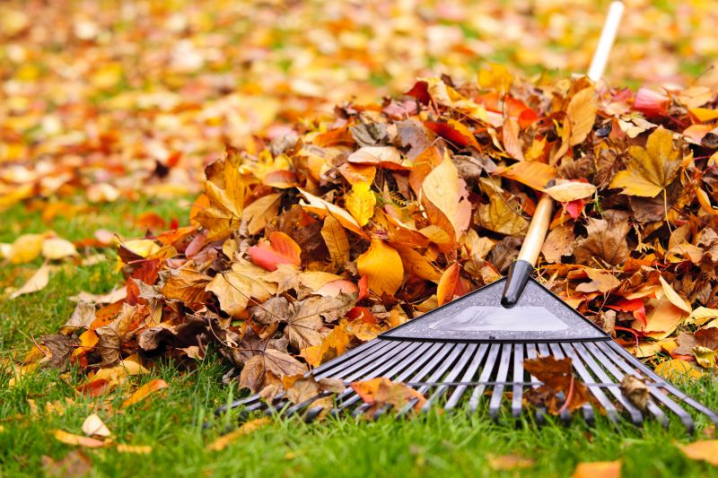 Spring Lawn Cleanup in Ventura County, CA