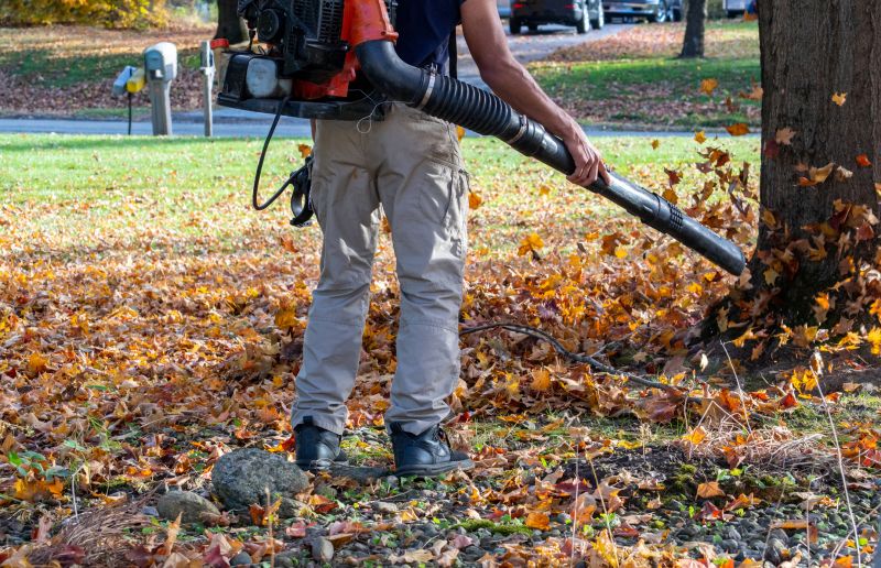 Spring Yard Clean Up Service in Ventura County, CA