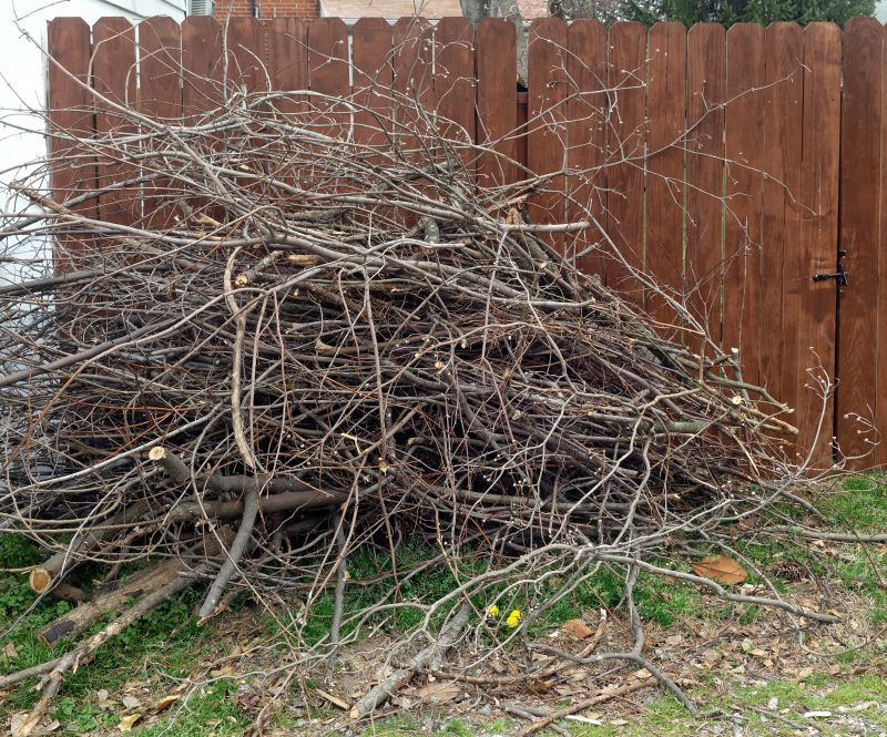 Tree Branches Removal in Honolulu, HI