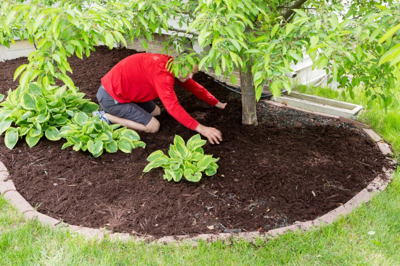 Weeding And Mulching in Honolulu, HI