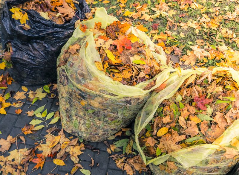 Yard Cleanup Service in Ventura County, CA