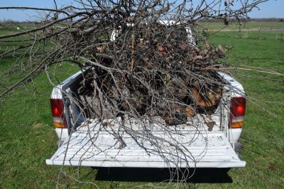 Improve the Look of Your Landscape with Brush Hauling Service!