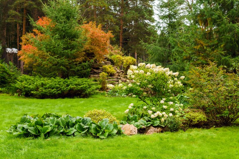 Custom Landscaping in Ventura County, CA