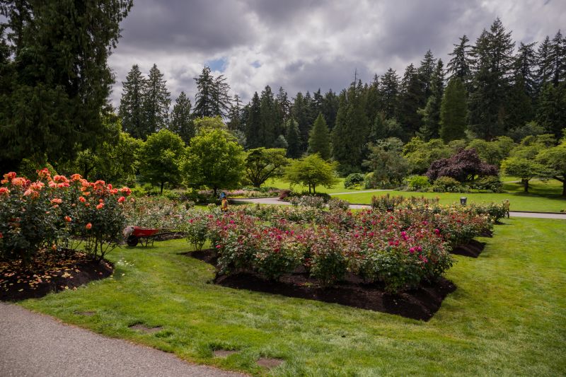 Flower Landscaping in Ventura County, CA