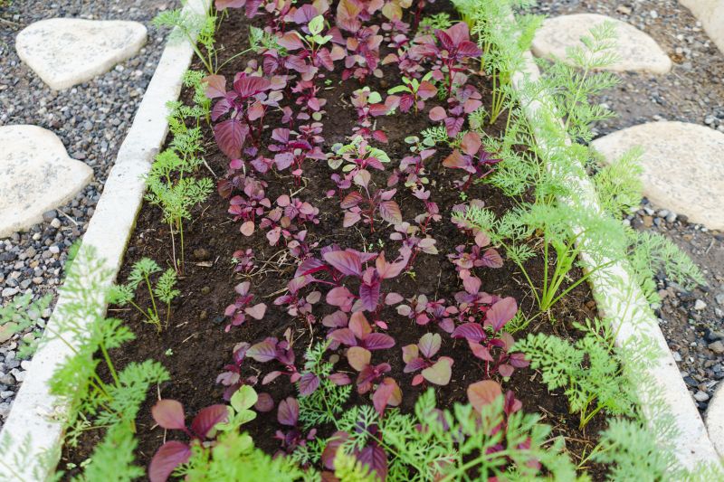 Garden Curbing Installation in Honolulu, HI