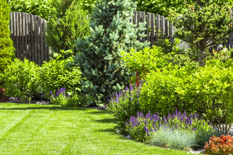 Landscaping Modification in Ventura County, CA