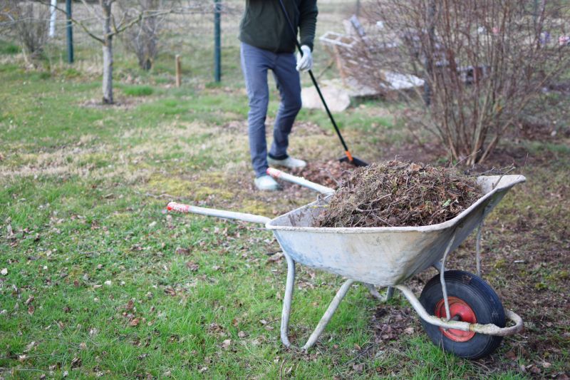 Brush Hauling Services & Promotions
