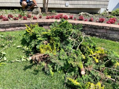Remove Unwanted Debris on Your Property with Brush Hauling!